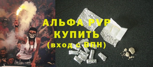 хмурый Каменногорск