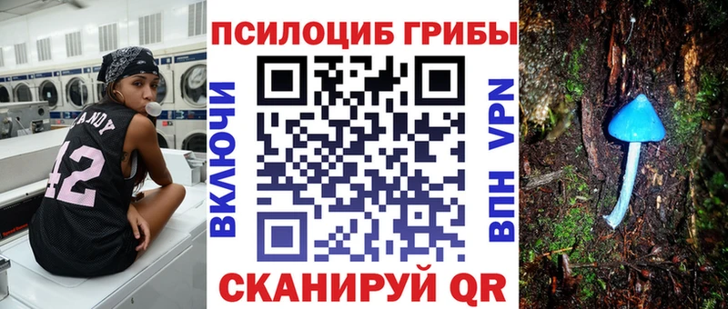 наркошоп Киренск Псилоцибиновые грибы Psilocybe